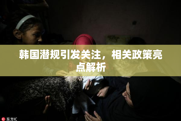 韩国潜规引发关注，相关政策亮点解析