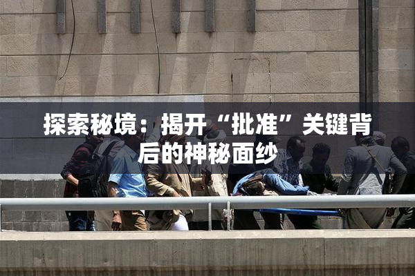 探索秘境：揭开“批准”关键背后的神秘面纱