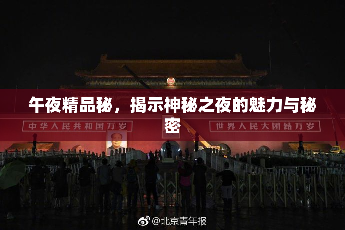 午夜精品秘，揭示神秘之夜的魅力与秘密