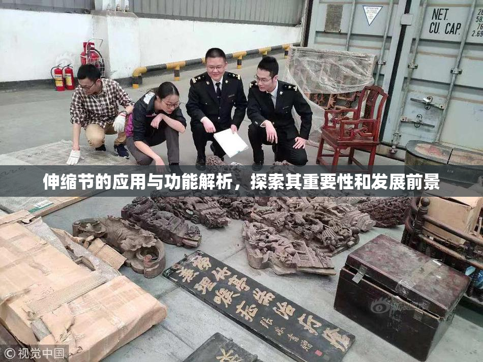 伸缩节的应用与功能解析，探索其重要性和发展前景
