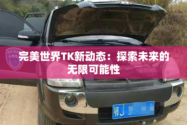 完美世界TK新动态：探索未来的无限可能性