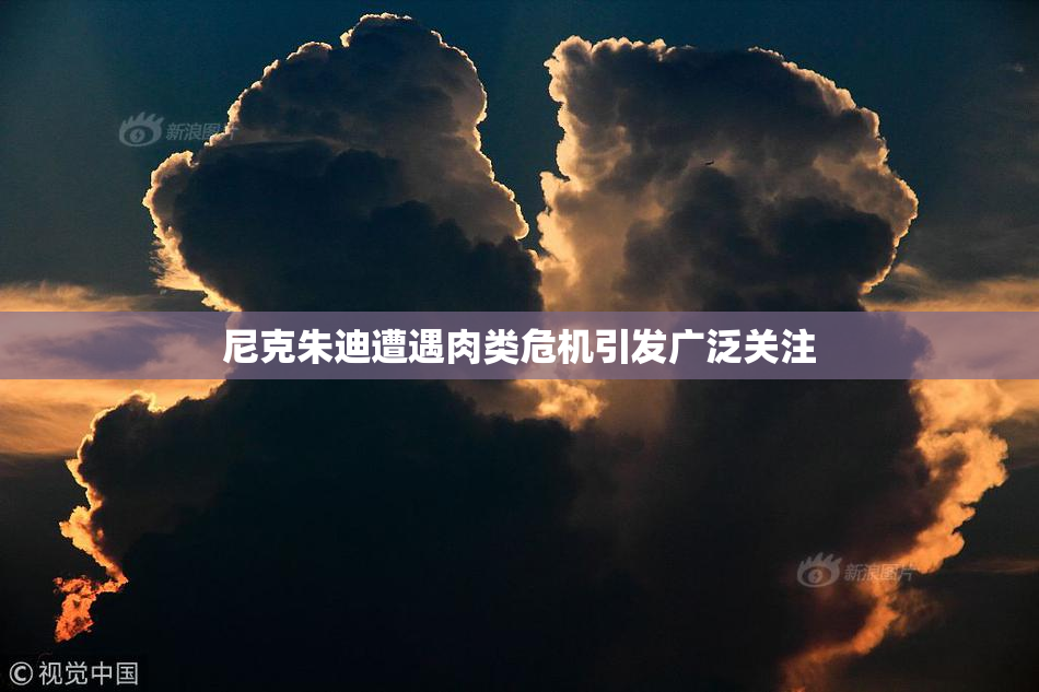 尼克朱迪遭遇肉类危机引发广泛关注