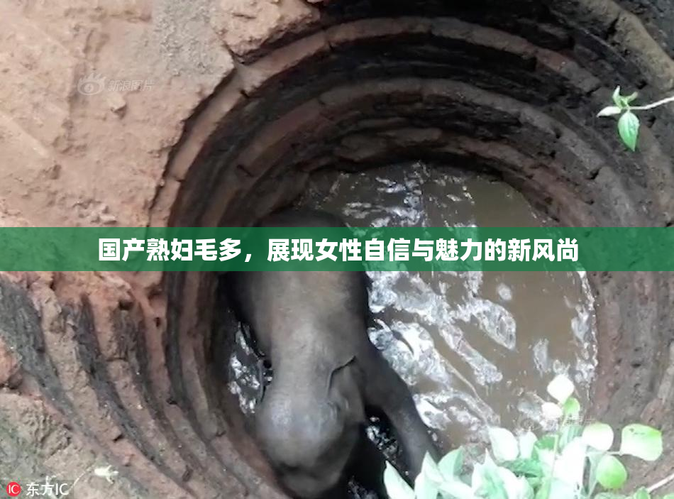 国产熟妇毛多，展现女性自信与魅力的新风尚