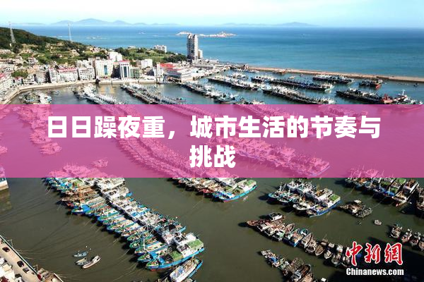 日日躁夜重，城市生活的节奏与挑战