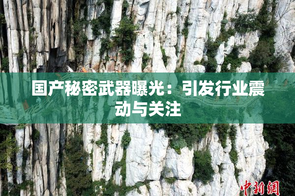 国产秘密武器曝光：引发行业震动与关注