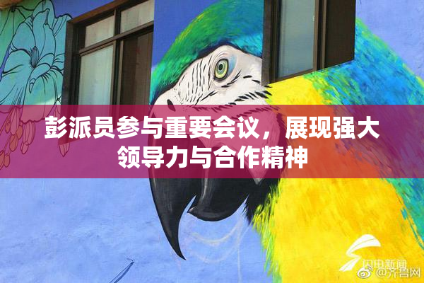 彭派员参与重要会议，展现强大领导力与合作精神