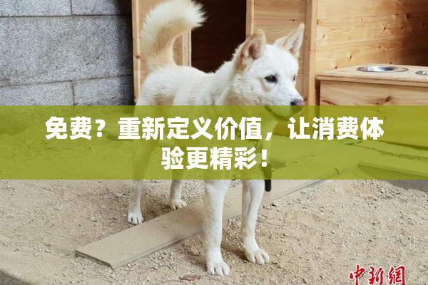 免费？重新定义价值，让消费体验更精彩！