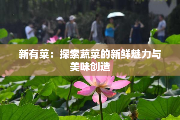 新有菜：探索蔬菜的新鲜魅力与美味创造