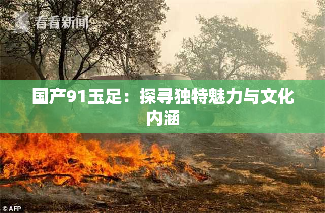 国产91玉足：探寻独特魅力与文化内涵