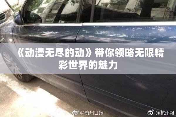 《动漫无尽的动》带你领略无限精彩世界的魅力