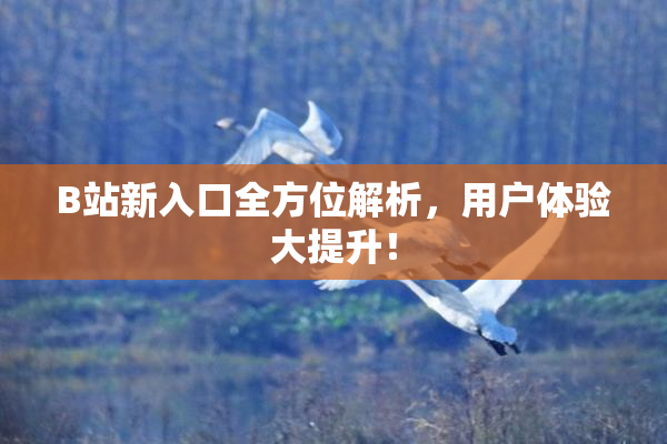 B站新入口全方位解析，用户体验大提升！