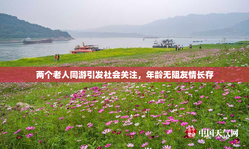 两个老人同游引发社会关注，年龄无阻友情长存