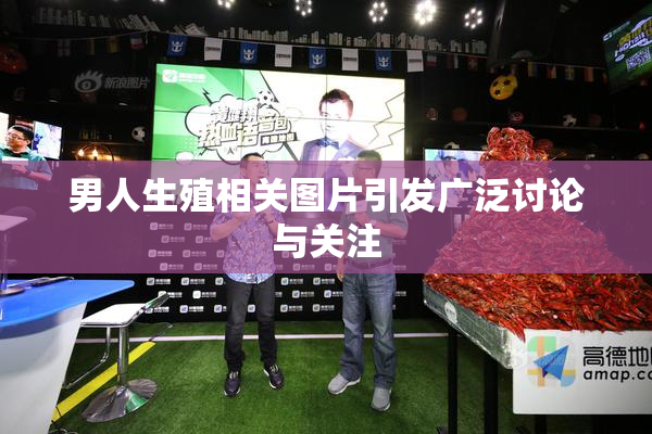 男人生殖相关图片引发广泛讨论与关注