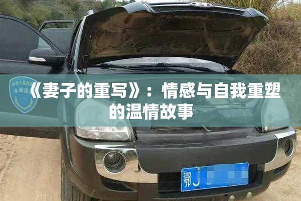 《妻子的重写》：情感与自我重塑的温情故事