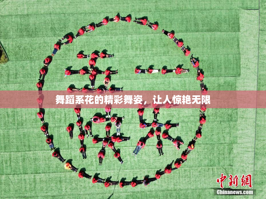 舞蹈系花的精彩舞姿，让人惊艳无限