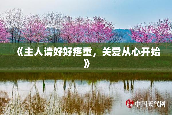 《主人请好好疼重，关爱从心开始》
