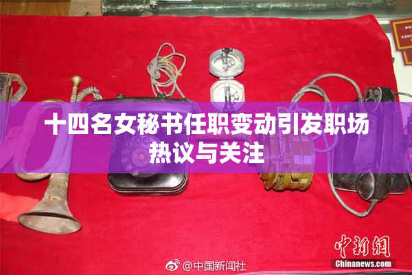 十四名女秘书任职变动引发职场热议与关注
