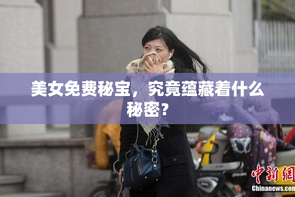 美女免费秘宝，究竟蕴藏着什么秘密？