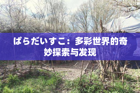 ぱらだいすこ：多彩世界的奇妙探索与发现