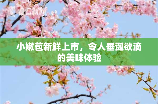 小嫩苞新鲜上市，令人垂涎欲滴的美味体验