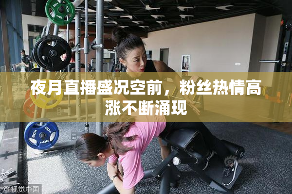 夜月直播盛况空前，粉丝热情高涨不断涌现