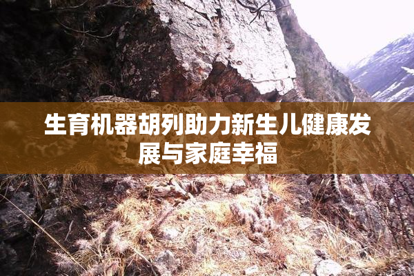 生育机器胡列助力新生儿健康发展与家庭幸福