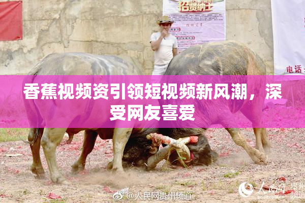 香蕉视频资引领短视频新风潮，深受网友喜爱
