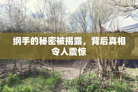 纲手的秘密被揭露，背后真相令人震惊