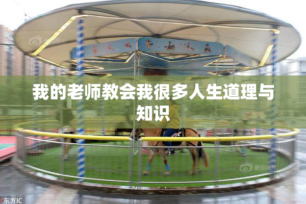 我的老师教会我很多人生道理与知识
