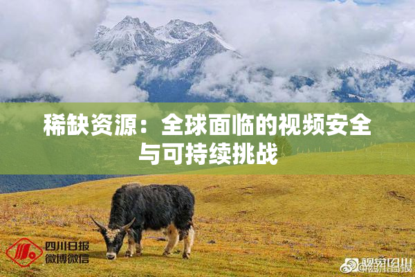 稀缺资源：全球面临的视频安全与可持续挑战