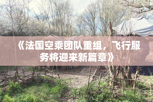 《法国空乘团队重组，飞行服务将迎来新篇章》