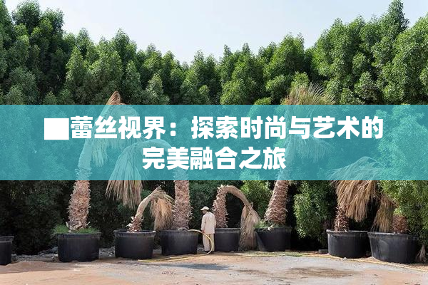 ▇蕾丝视界：探索时尚与艺术的完美融合之旅