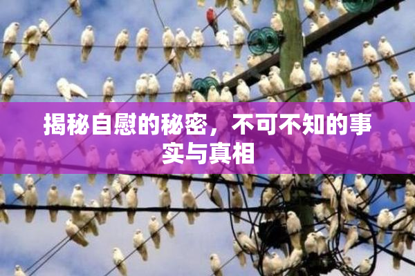 揭秘自慰的秘密，不可不知的事实与真相