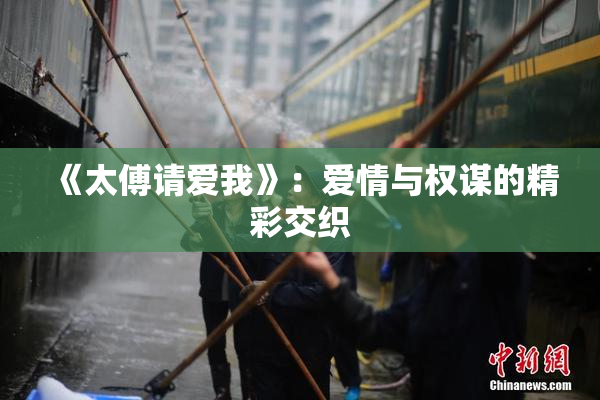 《太傅请爱我》：爱情与权谋的精彩交织