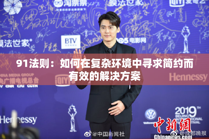 91法则：如何在复杂环境中寻求简约而有效的解决方案