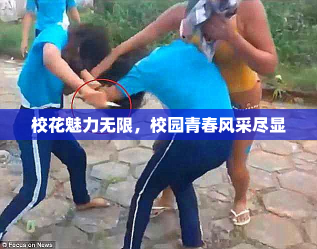 校花魅力无限，校园青春风采尽显