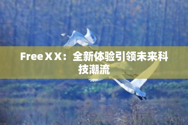 FreeⅩX：全新体验引领未来科技潮流