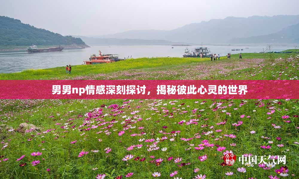 男男np情感深刻探讨，揭秘彼此心灵的世界