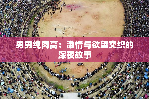 男男纯肉高：激情与欲望交织的深夜故事