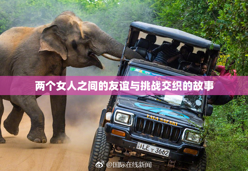 两个女人之间的友谊与挑战交织的故事