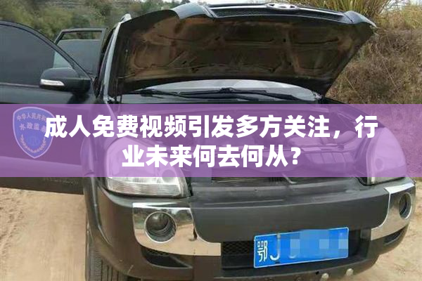 成人免费视频引发多方关注，行业未来何去何从？