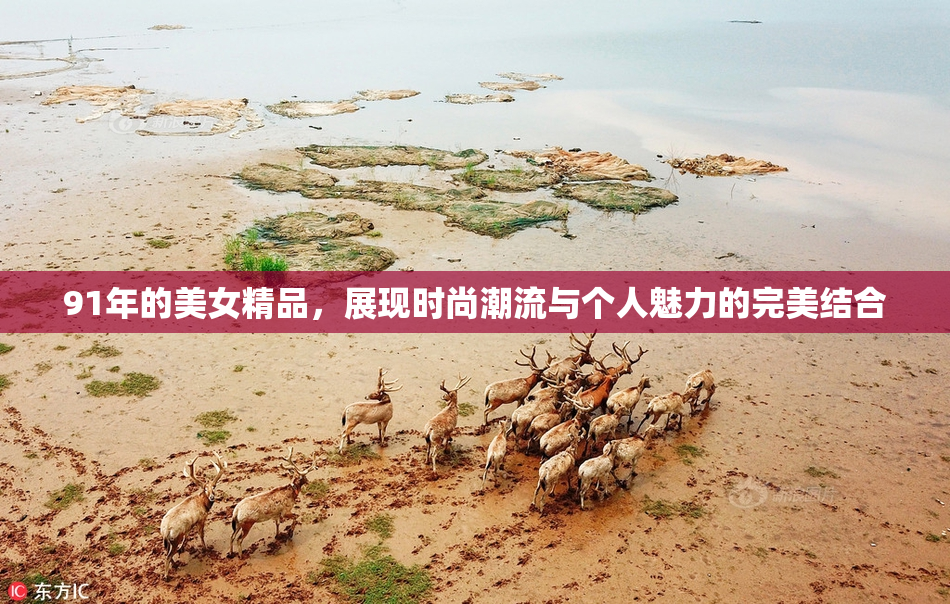 91年的美女精品，展现时尚潮流与个人魅力的完美结合