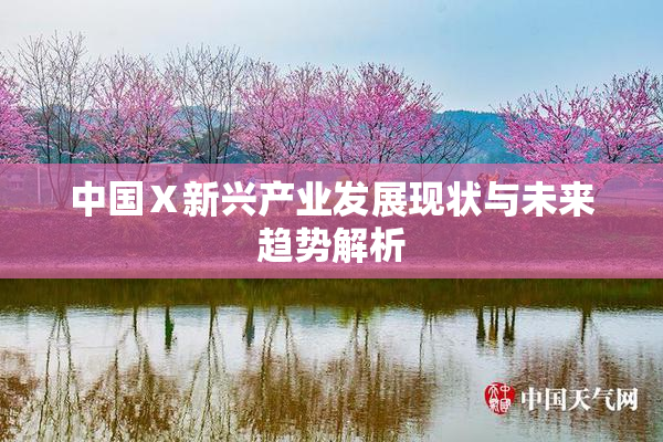 中国Ⅹ新兴产业发展现状与未来趋势解析