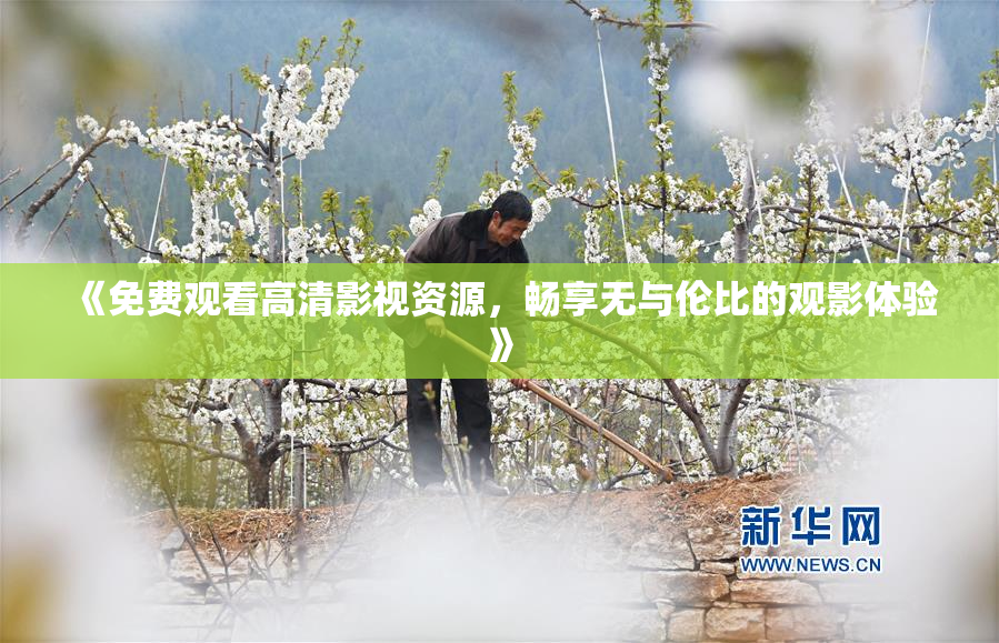 《免费观看高清影视资源，畅享无与伦比的观影体验》