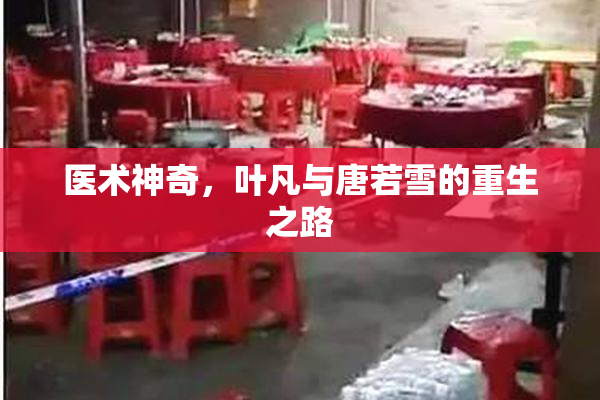 医术神奇，叶凡与唐若雪的重生之路