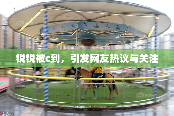 锐锐被c到，引发网友热议与关注