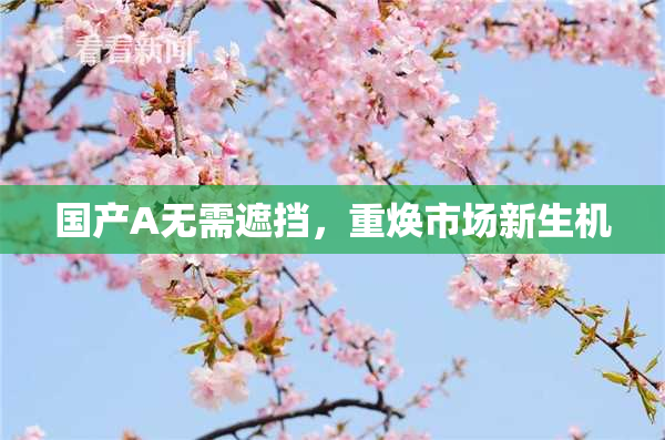 国产A无需遮挡，重焕市场新生机