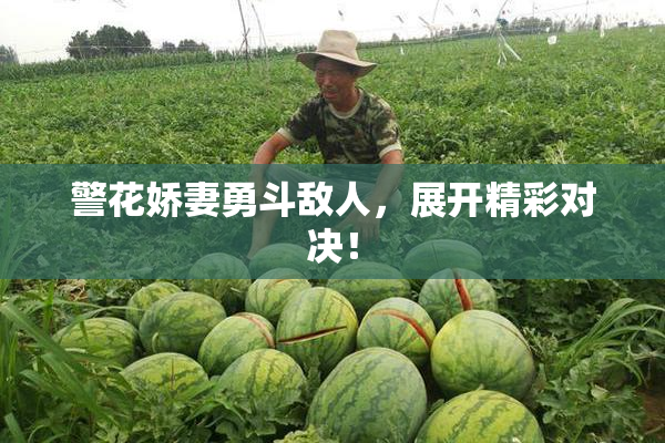 警花娇妻勇斗敌人，展开精彩对决！