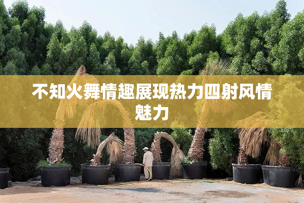 不知火舞情趣展现热力四射风情魅力