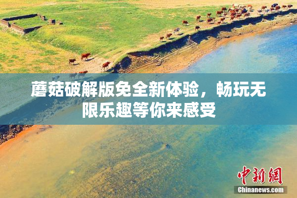蘑菇破解版免全新体验，畅玩无限乐趣等你来感受